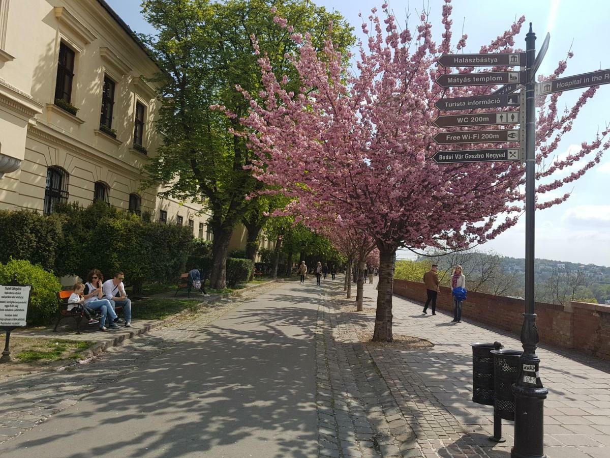 Budasmile Appartment At Buda Castle - Aircon & Free Parking Budapest Exteriör bild