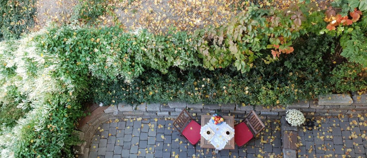 Budasmile Appartment At Buda Castle - Aircon & Free Parking Budapest Exteriör bild